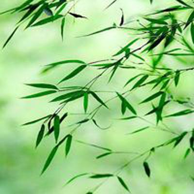 八门神器下载安装最新版本